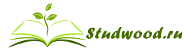 studwood.ru logo