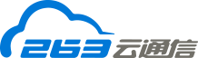 263.net logo