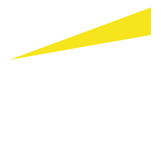 Ey.com icon