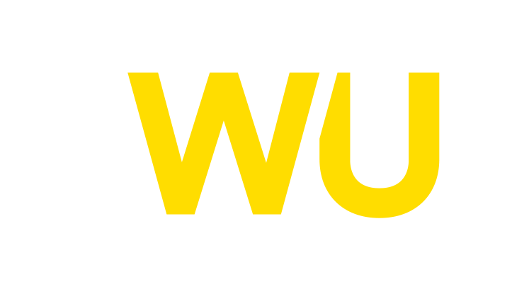 Westernunion.com icon