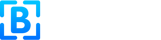 bejson.com icon