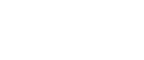 ibs.it logo
