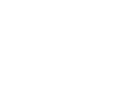manualslib.com icon
